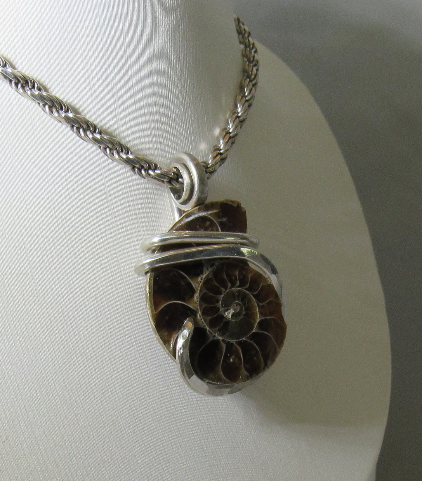Ammonite Pendant Hand Wrapped in Silver