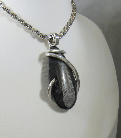 Orthoceras Pendant Necklace 925 Sterling Silver