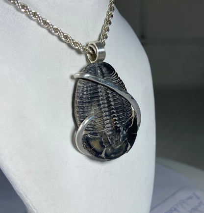 Fossilized Trilobite Handmade Stone Pendant Wrapped in Silver