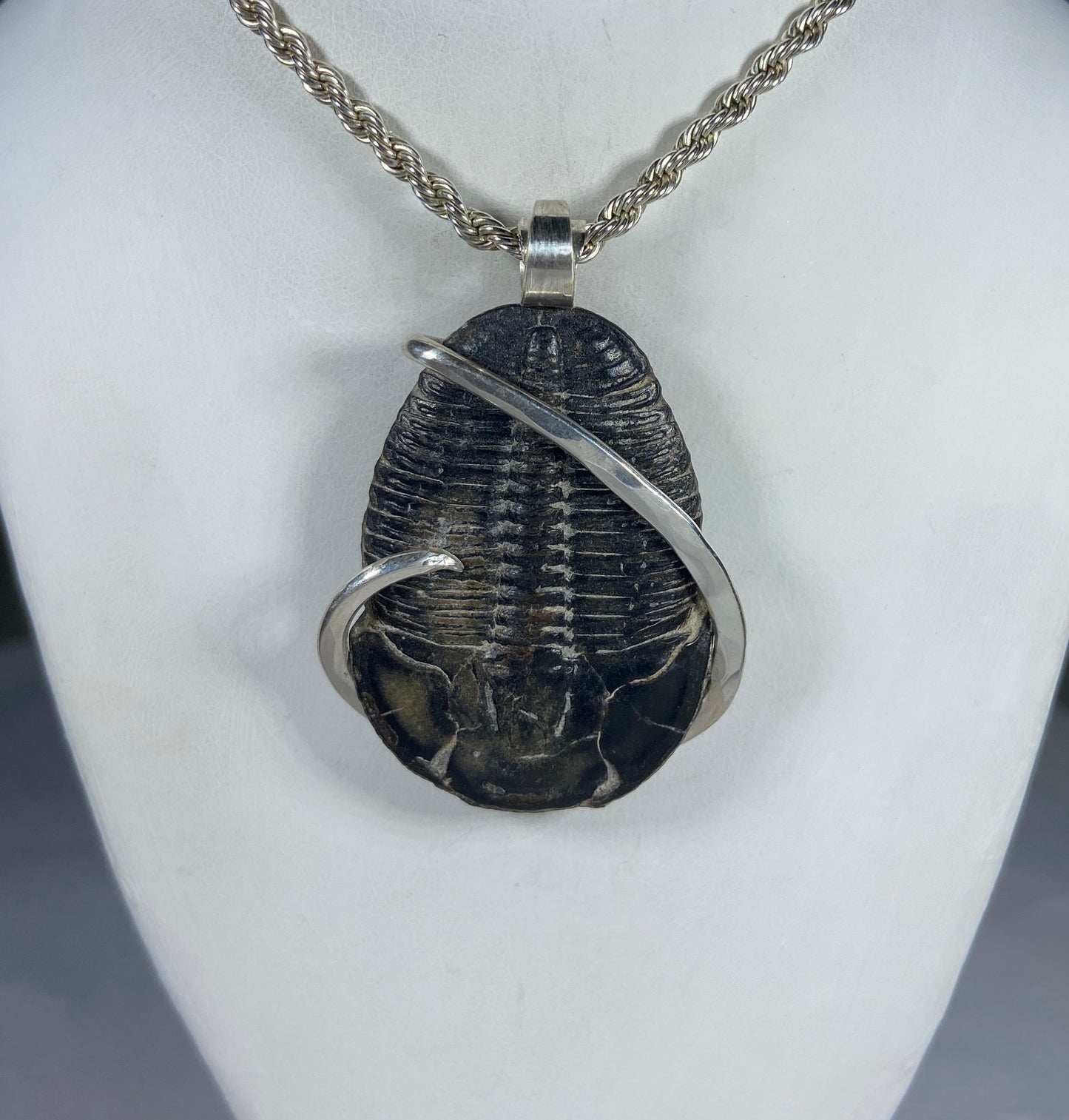 Fossilized Trilobite Handmade Stone Pendant Wrapped in Silver