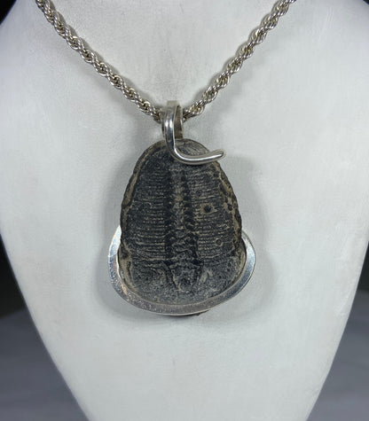 Fossilized Trilobite Handmade Stone Pendant Wrapped in Silver