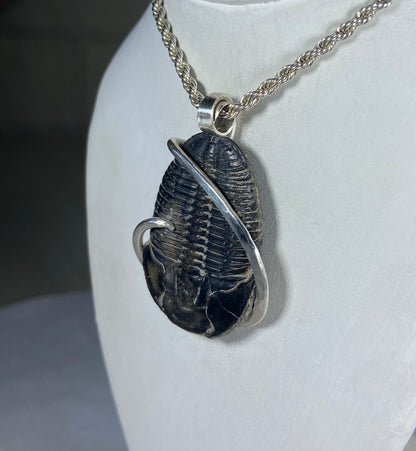 Fossilized Trilobite Handmade Stone Pendant Wrapped in Silver