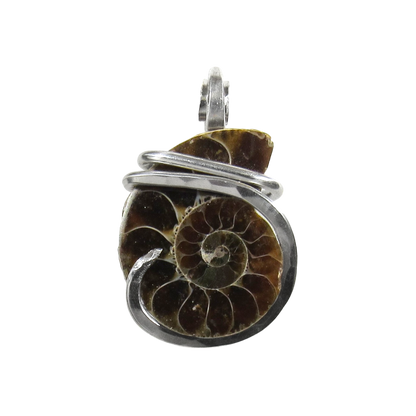 Ammonite  Pendant  Hand Wrapped in Silver