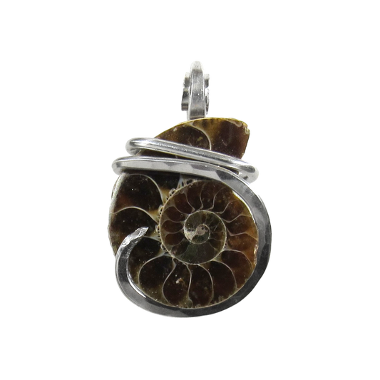 Ammonite  Pendant  Hand Wrapped in Silver