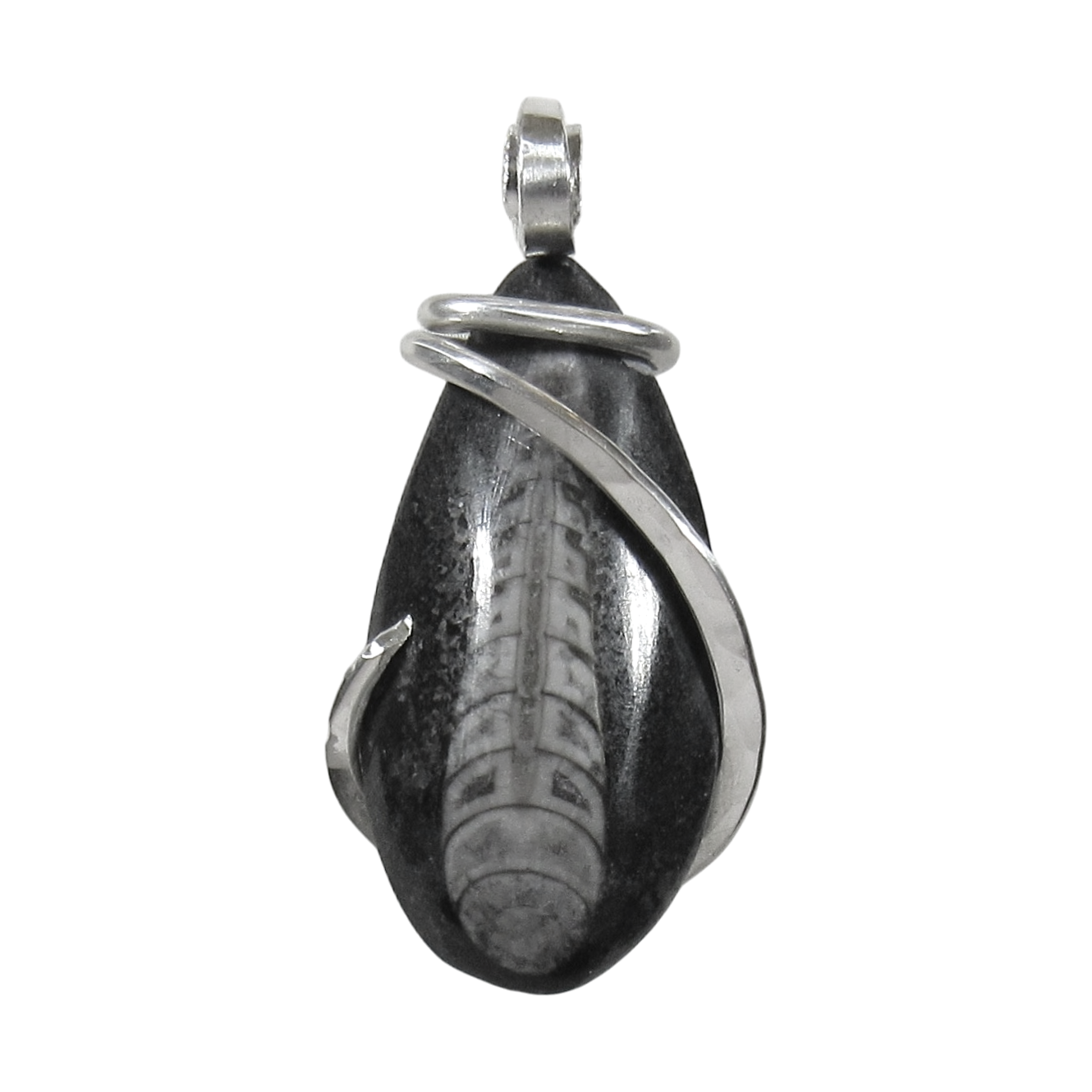 Orthoceras Pendant Necklace 925 Sterling Silver