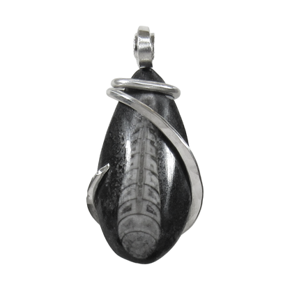 Orthoceras Pendant Necklace 925 Sterling Silver