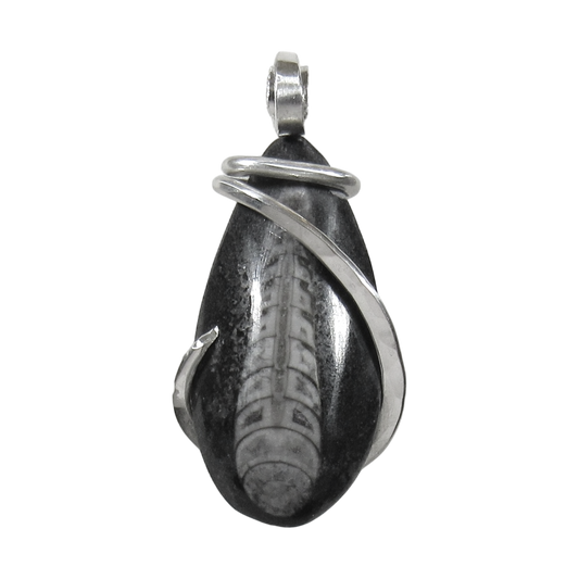 Orthoceras Pendant Necklace 925 Sterling Silver